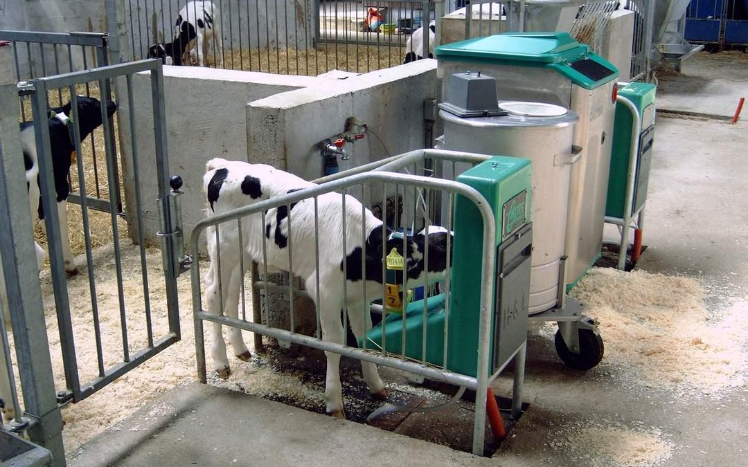 Autonomous Kalf Feeder system